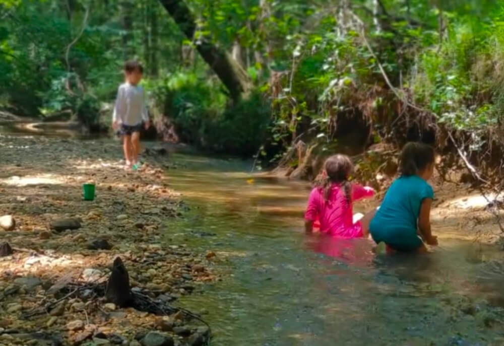 Kids exploring nature at camp